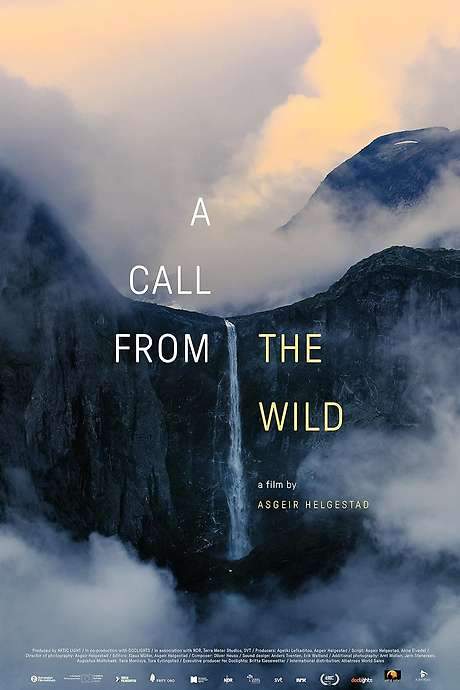A Call from the Wild